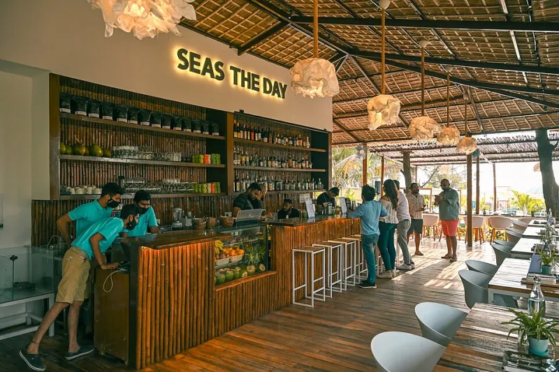 Brine, Kelp & Copper: A Connoisseur's Guide to Coastal Craft Spirits and Seafood Pairings