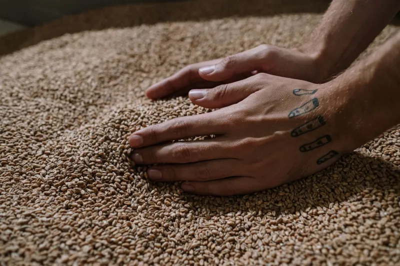 Grain to Glass, Every Inch of It: How Vertically Integrated Distilleries Are Rewriting the Flavor Map
