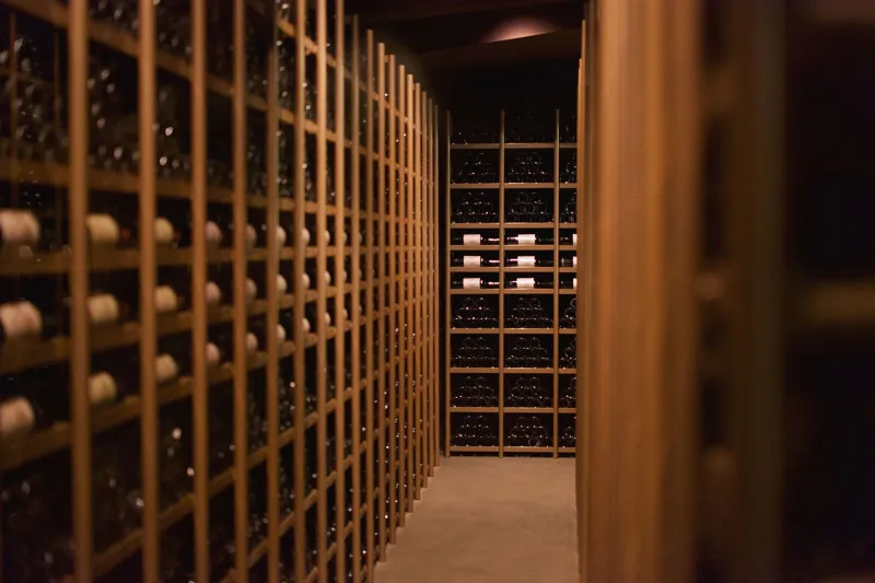 What the Dark Doesn't Tell You: The Hidden Science of Protecting Your Wine and Spirits Collection