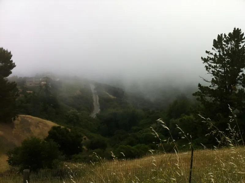 Roots and Rain: How Appalachian and Pacific Northwest Winemakers Are Forging a New American Identity